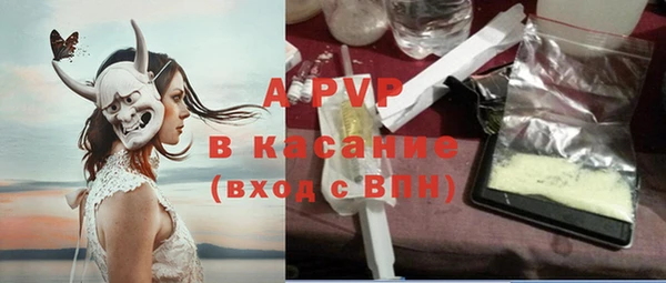 ГАЛЛЮЦИНОГЕННЫЕ ГРИБЫ Арсеньев