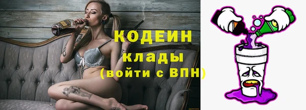 ГАЛЛЮЦИНОГЕННЫЕ ГРИБЫ Арсеньев