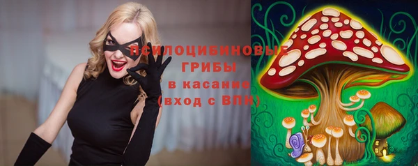 шишки Аркадак