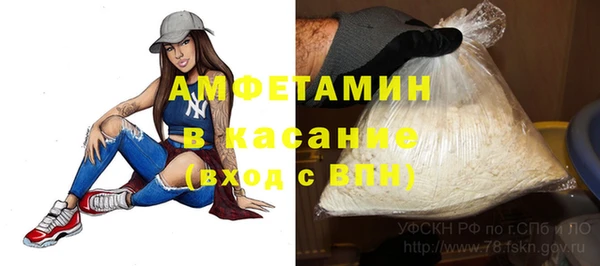 шишки Аркадак