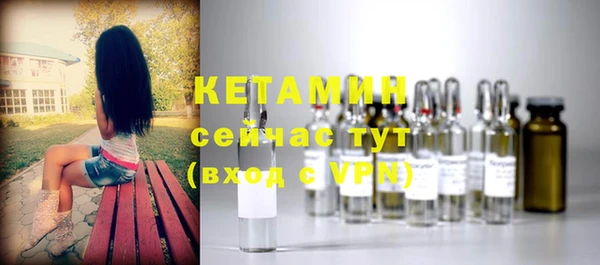 шишки Аркадак