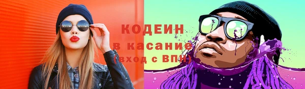 ГАЛЛЮЦИНОГЕННЫЕ ГРИБЫ Арсеньев