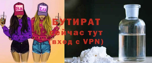 шишки Аркадак