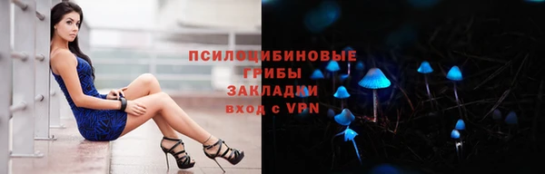 шишки Аркадак