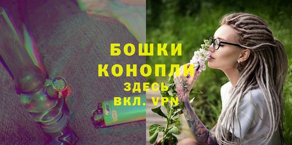 шишки Аркадак