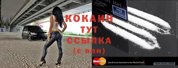 шишки Аркадак